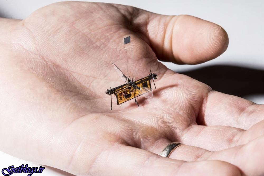 نخستین حشره رباتیک بی سیم از زمین برخاست