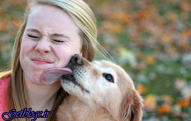 سگ‌های خانگی عامل عفونت‌های ادراری در انسان