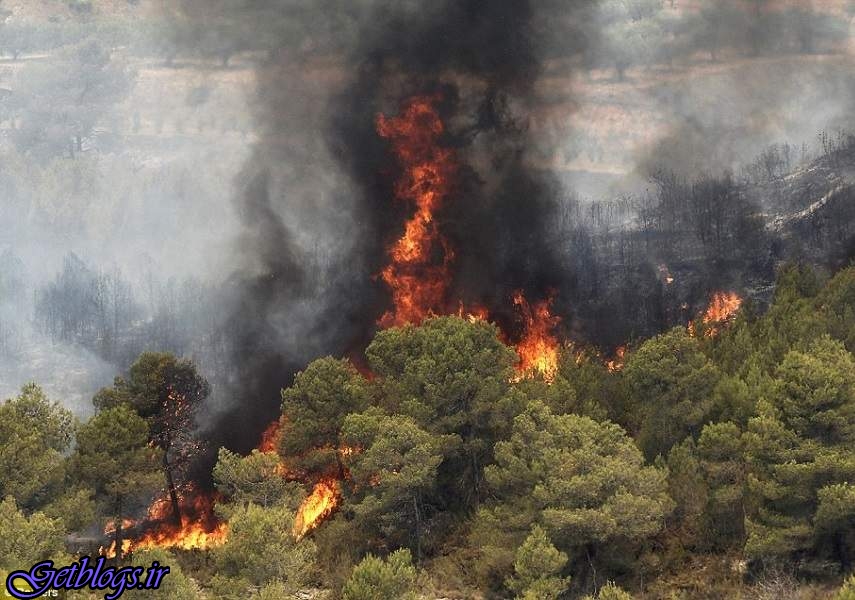 بیش از ۱۵۰ هکتار مرتع و جنگل در آتش سوخت ، دستگیری ۲ متهم آتش سوزی پارک ملی گلستان
