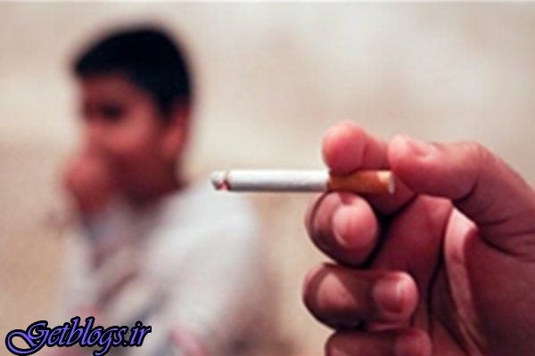 سلامت ایرانیها قربانی می شود ، مافیای سیگار خطرناک تر از دلالان ارز