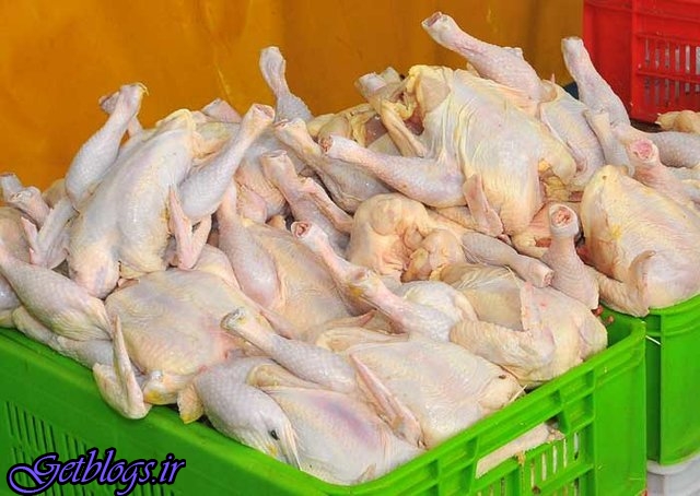قیمت مرغ در آستانه 12 هزارتومانی شدن
