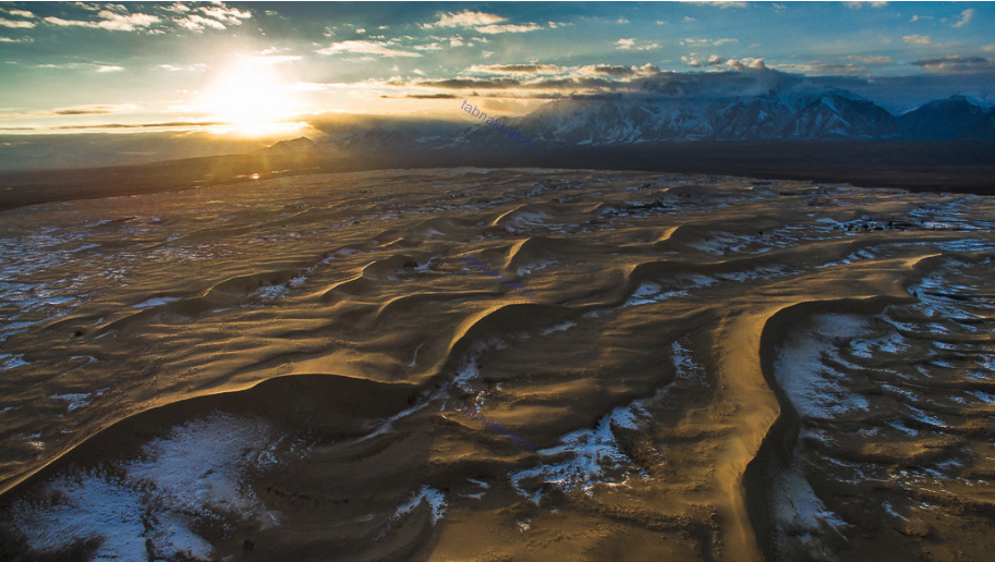 بیابان طلایی وسط کوه‌های پر برف سیبری