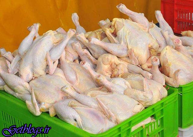تصویب قیمت گوشت مرغ در آینده نزدیک/ مرغ گران نشده است ، معاون وزیر کشاورزی