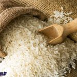 برنج آیا و چقدر گران شد؟