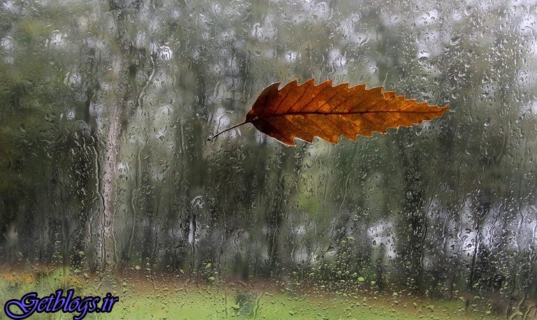 هنوز حق اعتراض عمومی در کشور به رسمیت آشنا نشده است/ آینده را ملت کشور عزیزمان