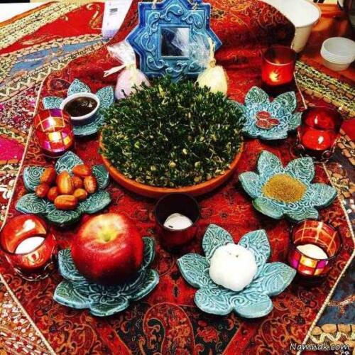 تصویر | دعوای شغال و پرنده در تصویر روز نشنال جئوگرافیک