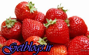 عکس های هشدار پلیس استرالیا راجع به توتفرنگیهای سوزندار! هشدار پلیس استرالیا راجع به توتفرنگیهای سوزندار!