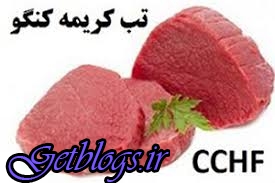 عکس های ابتلای ۴ نفر به بیماری تب کریمه کنگو در مازندران ابتلای ۴ نفر به بیماری تب کریمه کنگو در مازندران